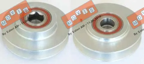 Alternator Freewheel Clutch (AST3196)