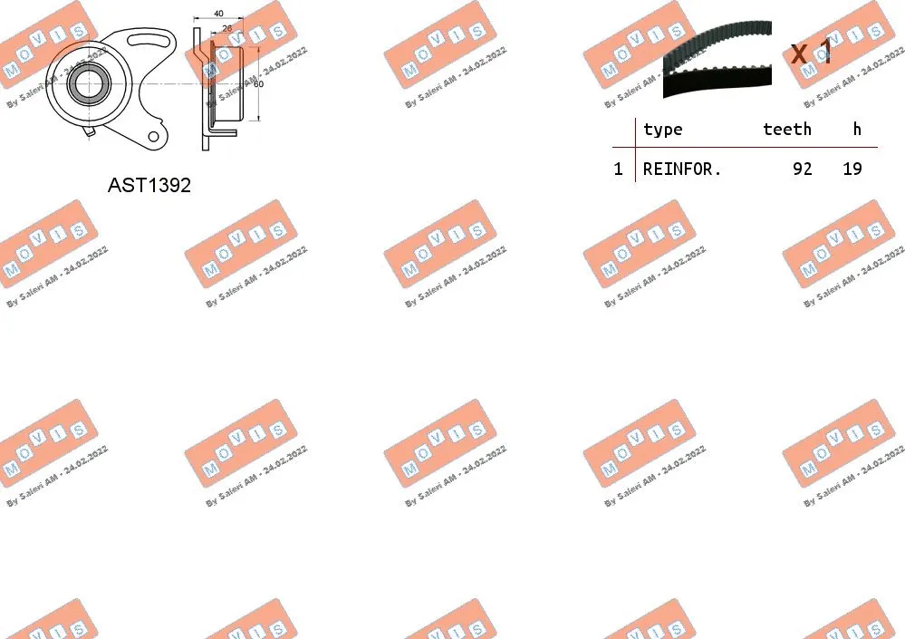Timing Belt Kit