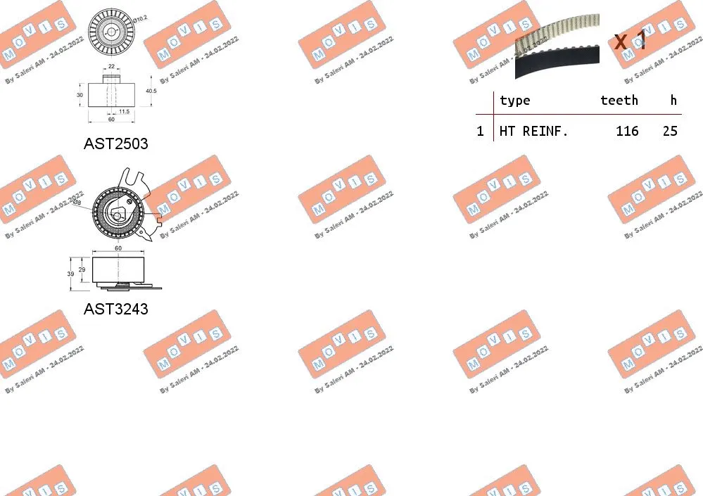 Timing Belt Kit