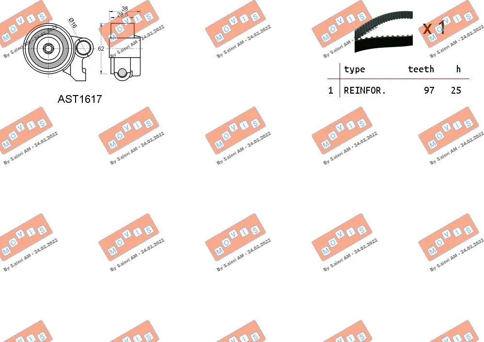 Timing Belt Kit