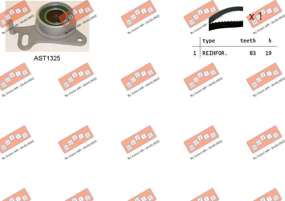 Timing Belt Kit (ASTK1243)