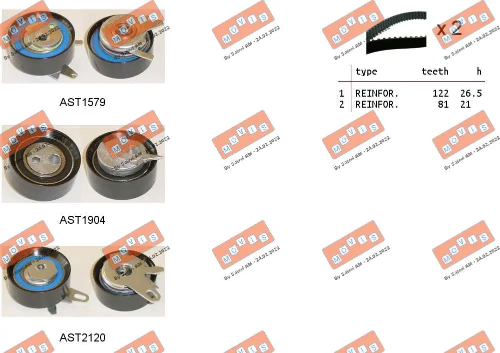 Timing Belt Kit (ASTK0946)