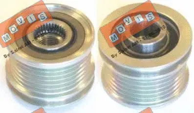 Alternator Freewheel Clutch (AST3195)