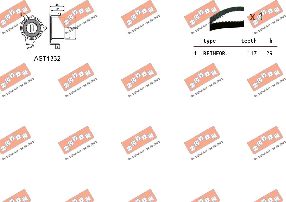 Timing Belt Kit