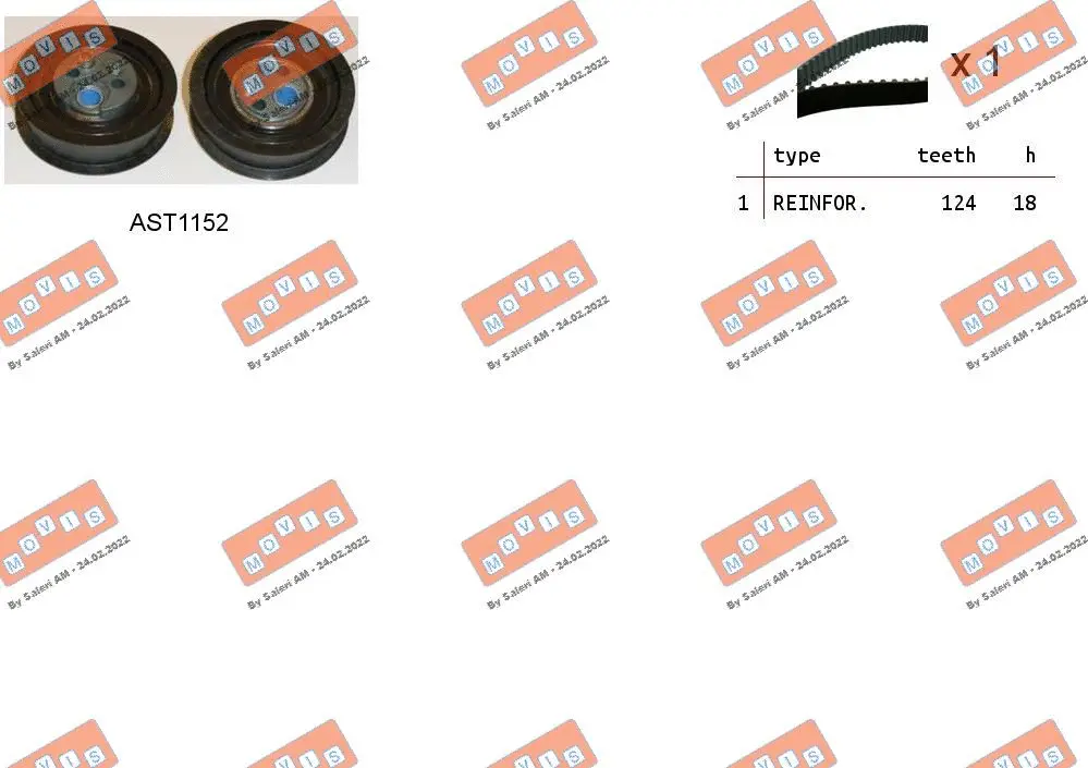 Timing Belt Kit (ASTK1025)