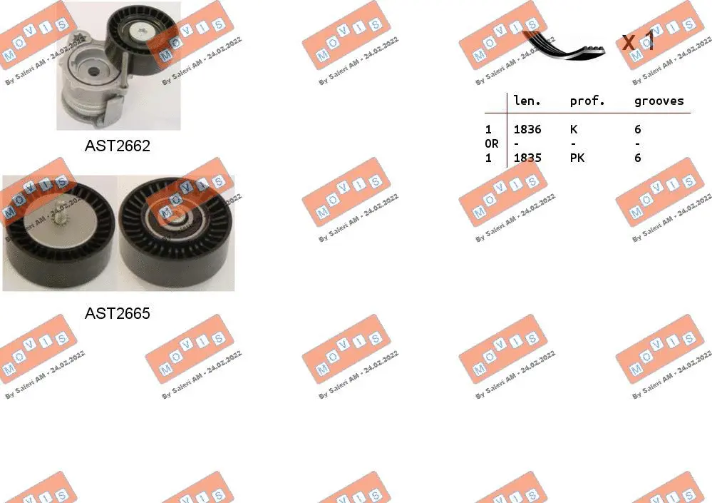 V-Ribbed Belt Set (ASTA0042)