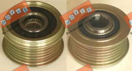 Alternator Freewheel Clutch (AST3118)
