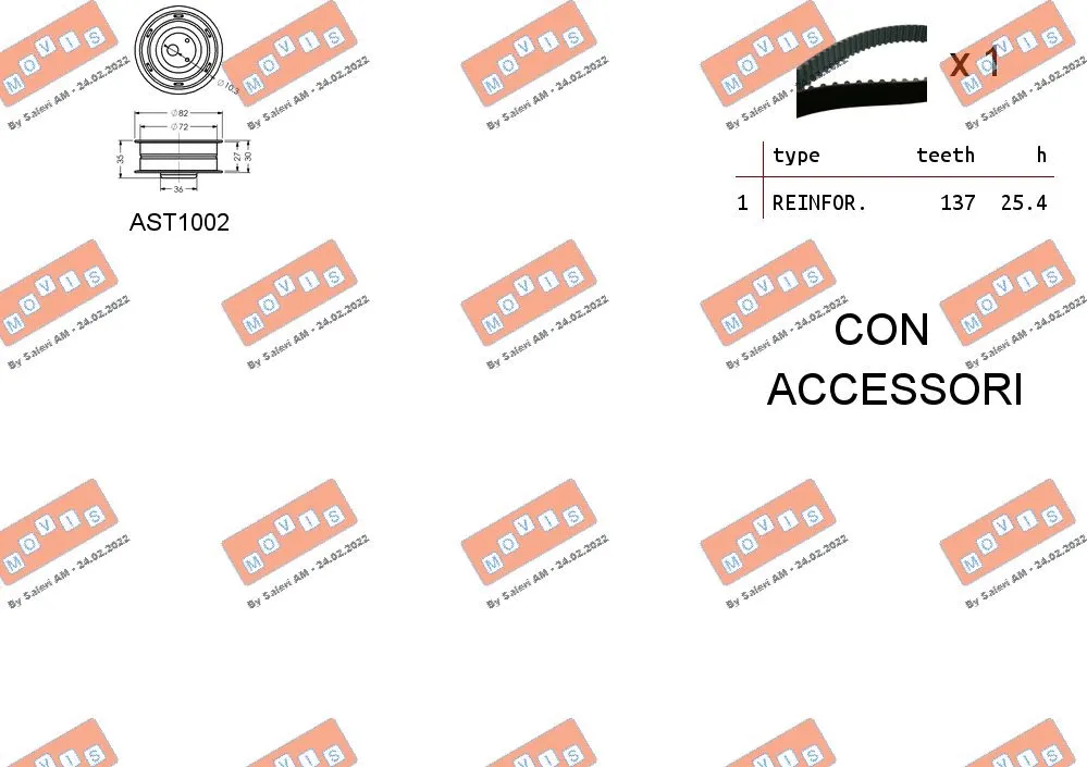 Timing Belt Kit