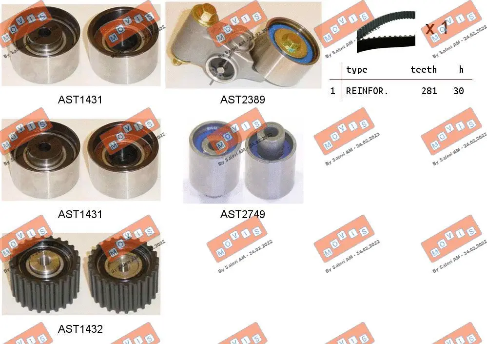 Timing Belt Kit (ASTK1254)