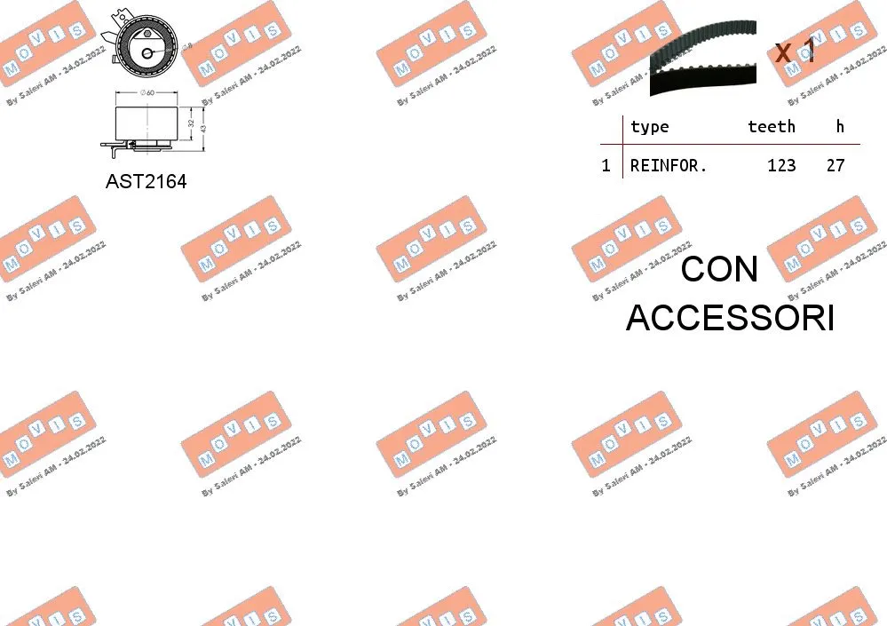 Timing Belt Kit