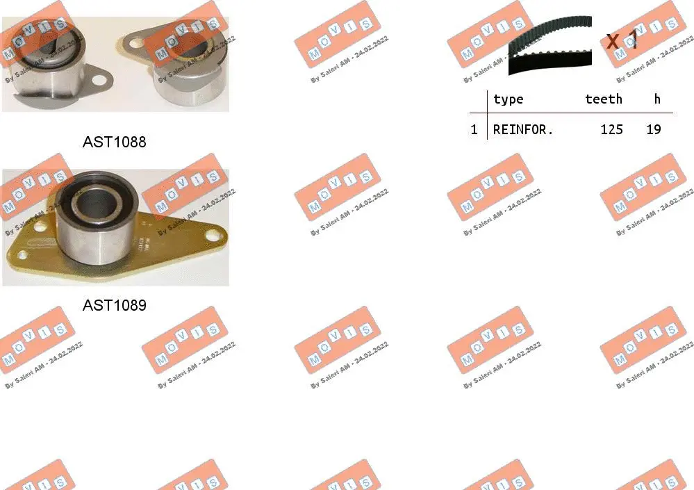 Timing Belt Kit (ASTK0875)