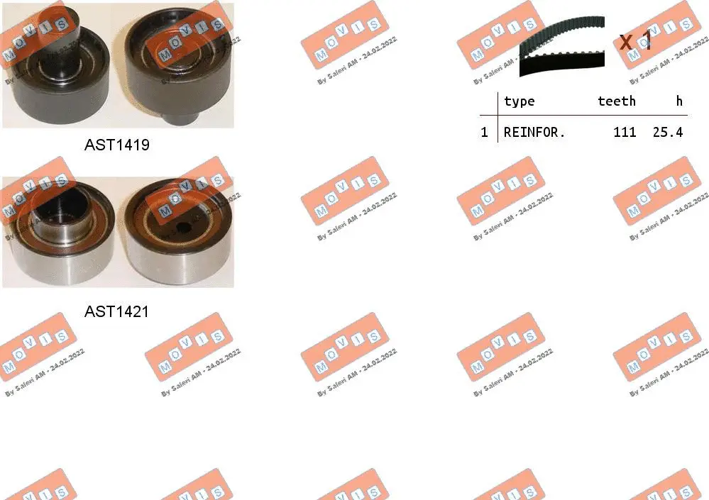 Timing Belt Kit (ASTK1005)
