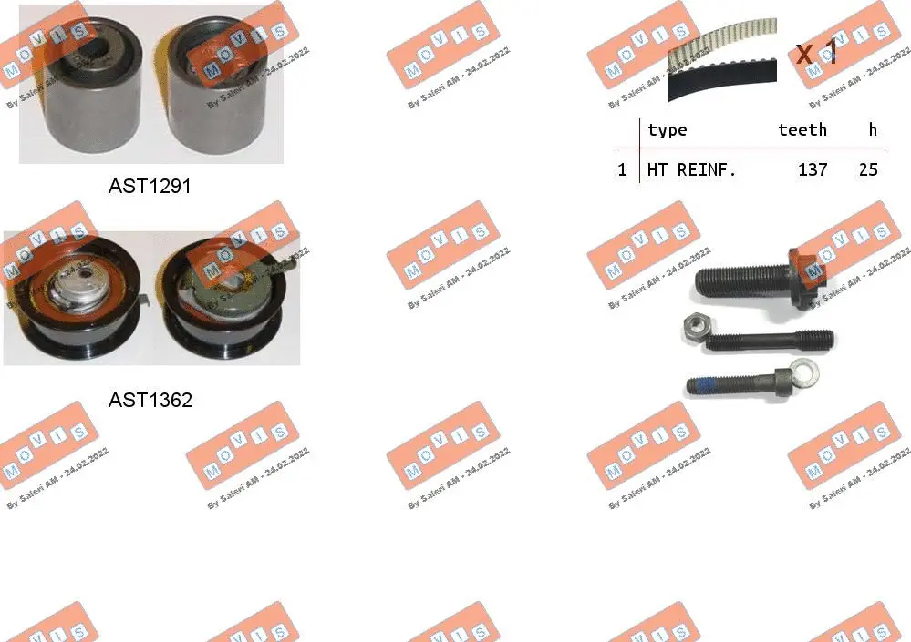 Timing Belt Kit (ASTK1024)