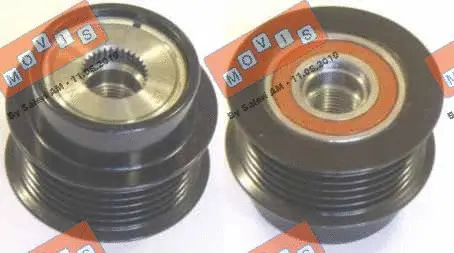 Alternator Freewheel Clutch (AST2973)