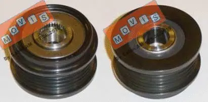Alternator Freewheel Clutch (AST2060)