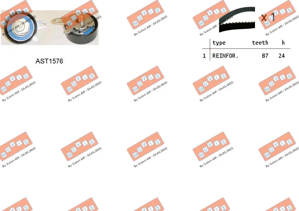 Timing Belt Kit (ASTK1076)