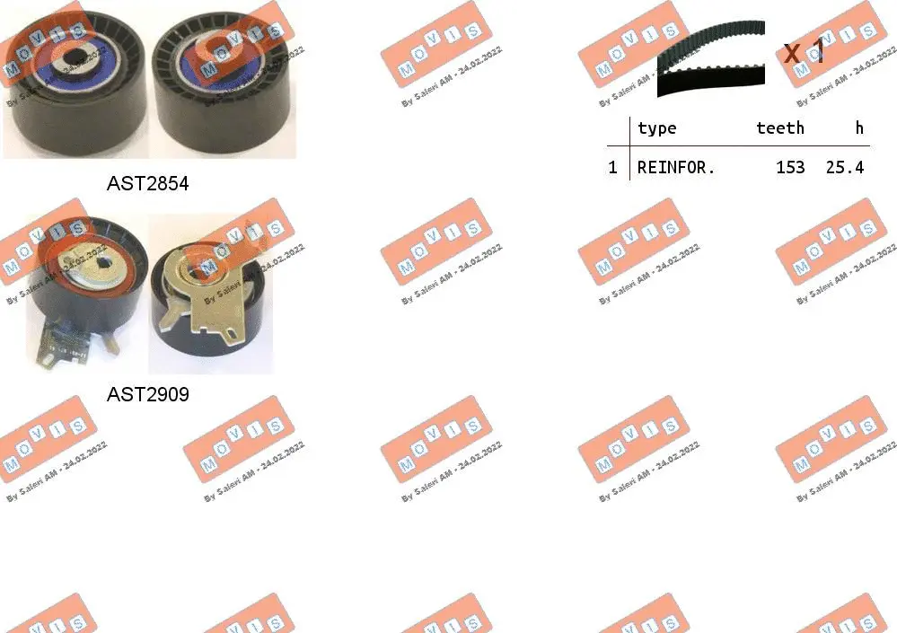Timing Belt Kit (ASTK1156)
