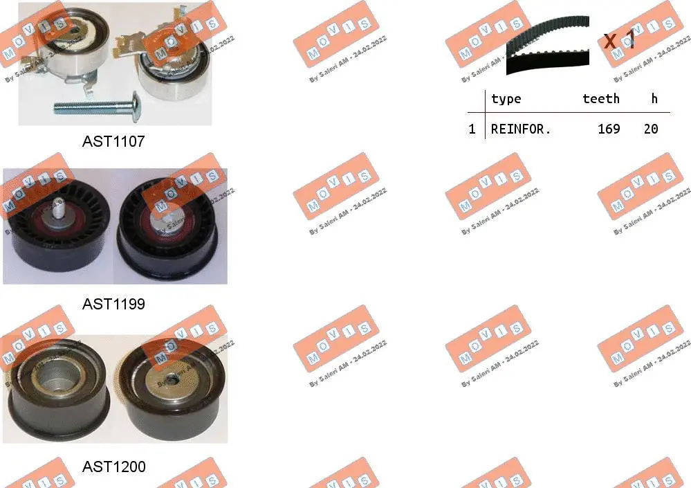 Timing Belt Kit (ASTK0810)