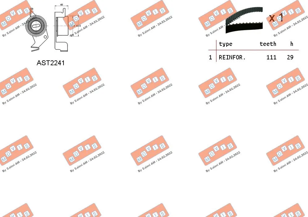 Timing Belt Kit