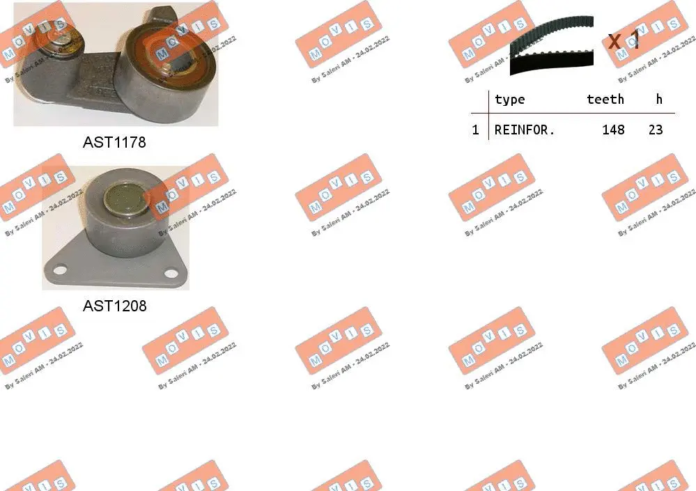 Timing Belt Kit (ASTK1011)