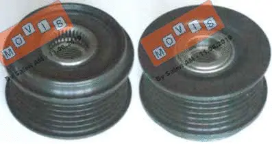 Alternator Freewheel Clutch (AST2965)