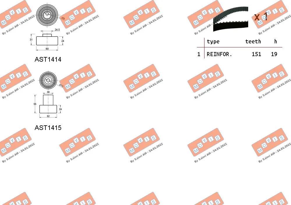 Timing Belt Kit