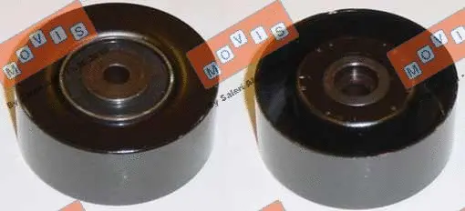 Deflection/Guide Pulley, V-ribbed belt (AST1646)