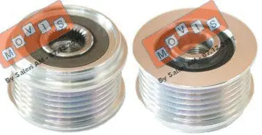 Alternator Freewheel Clutch (AST2072)