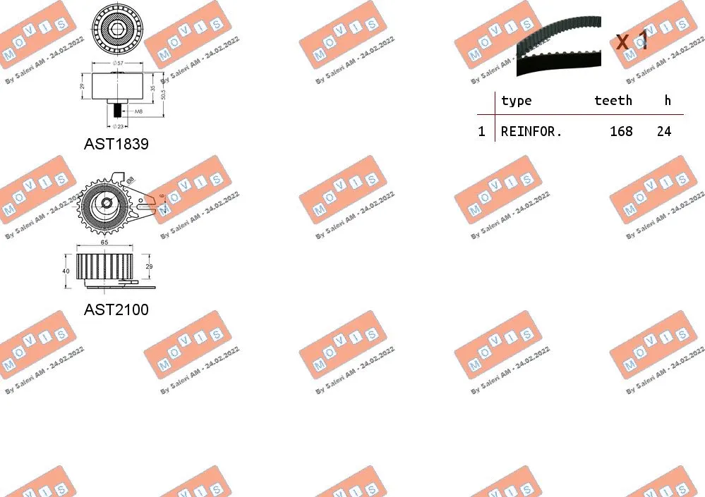 Timing Belt Kit