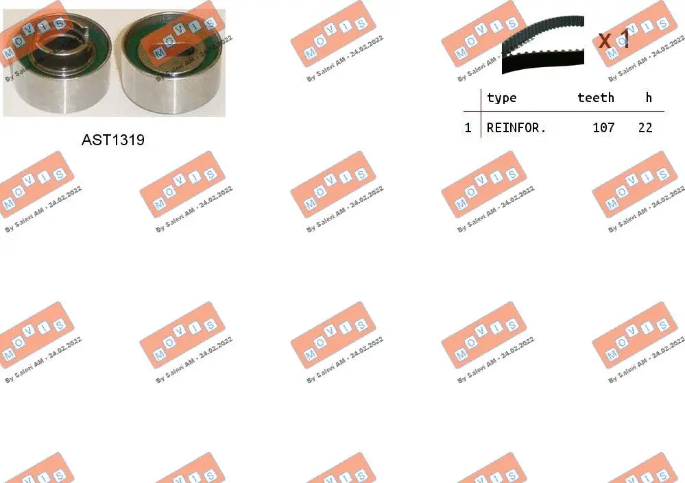 Timing Belt Kit (ASTK0992)