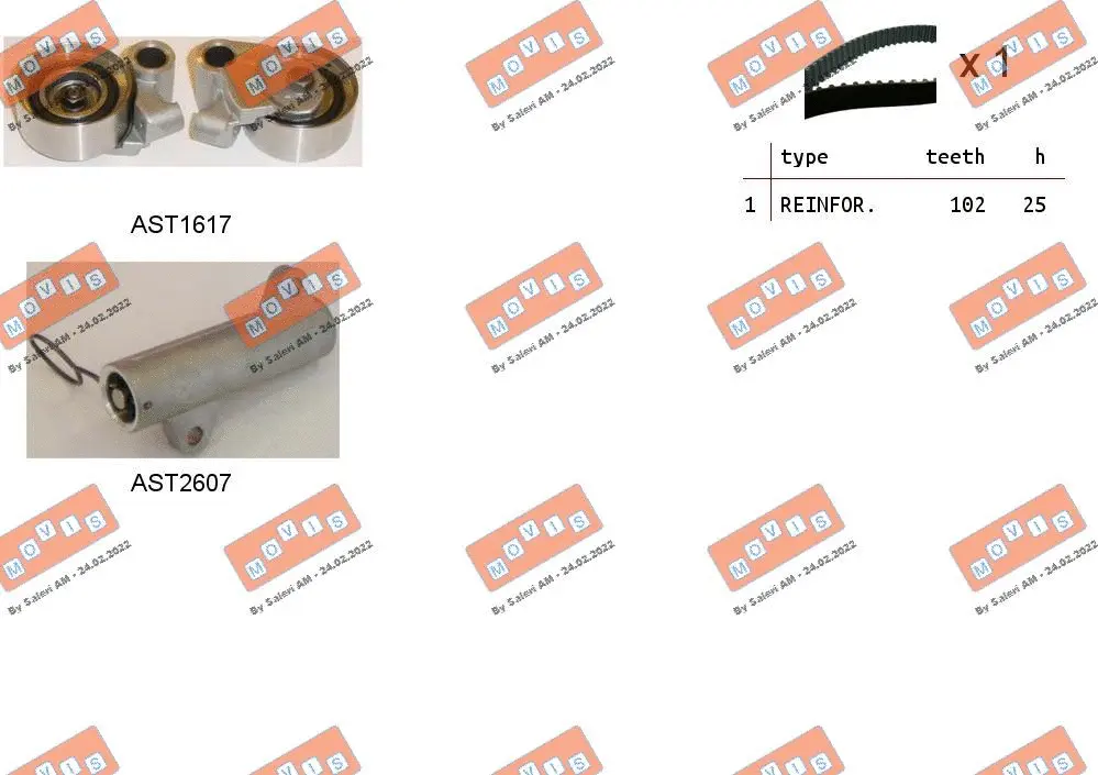 Timing Belt Kit (ASTK1064C)