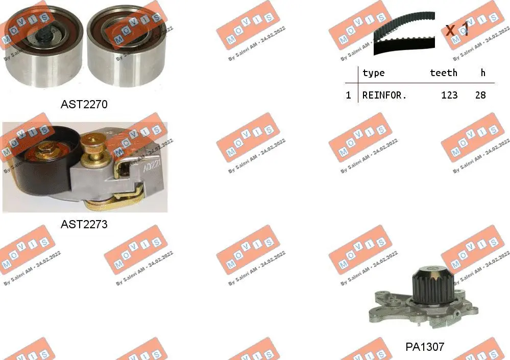 Water Pump & Timing Belt Kit (ASTK1070PA)