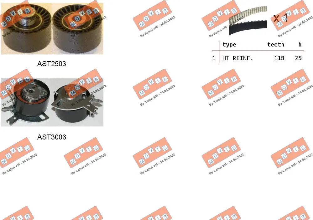 Timing Belt Kit (ASTK1075)