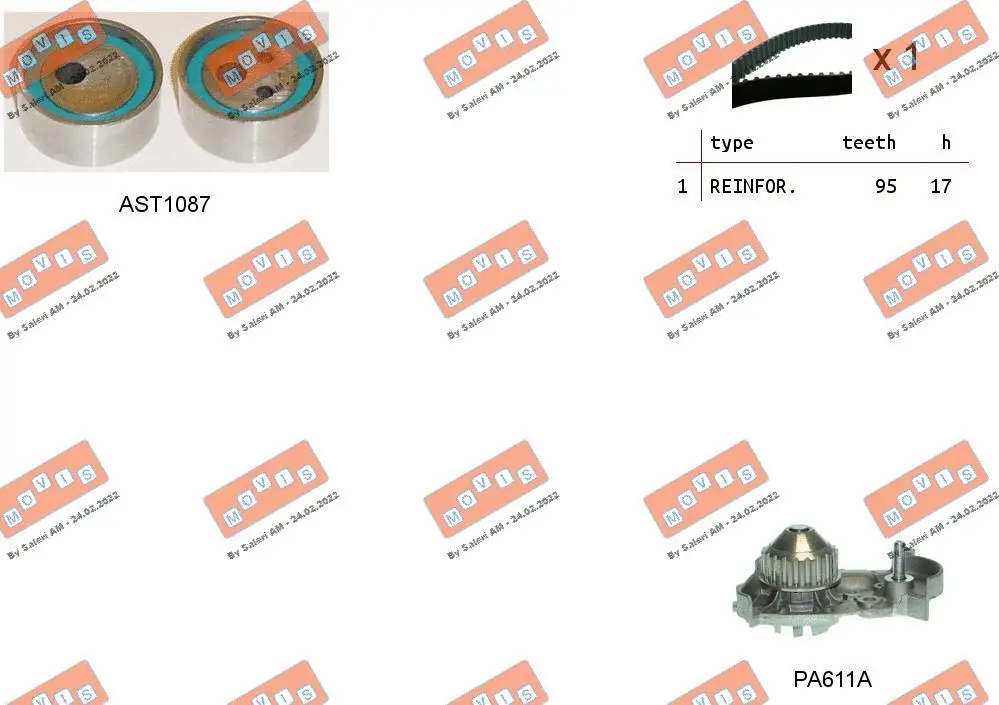 Water Pump & Timing Belt Kit (ASTK0840PA2)