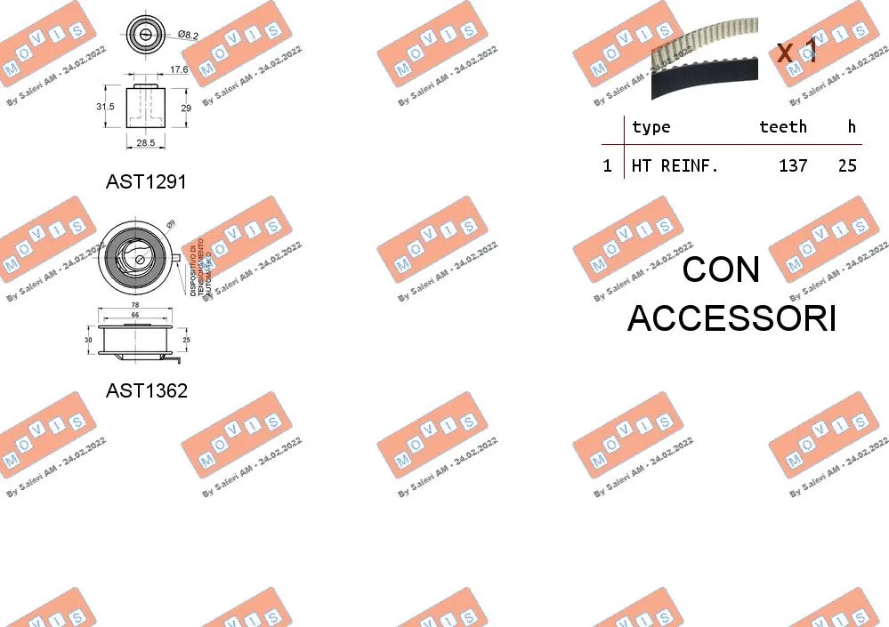 Timing Belt Kit