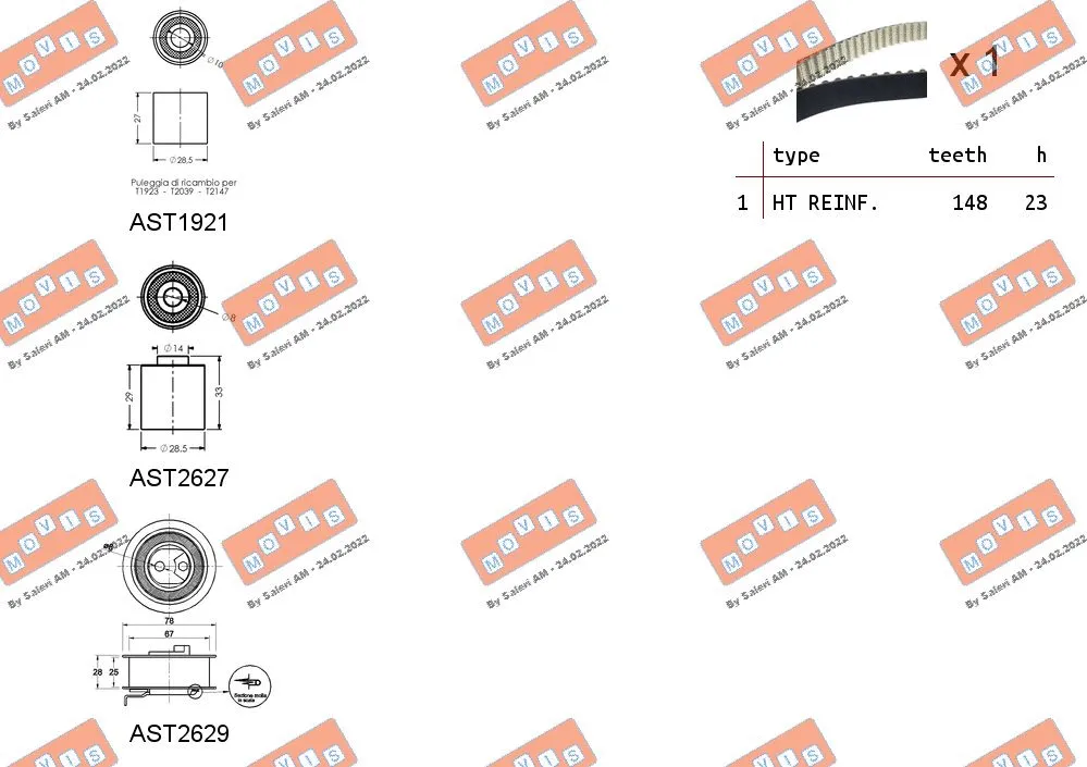 Timing Belt Kit