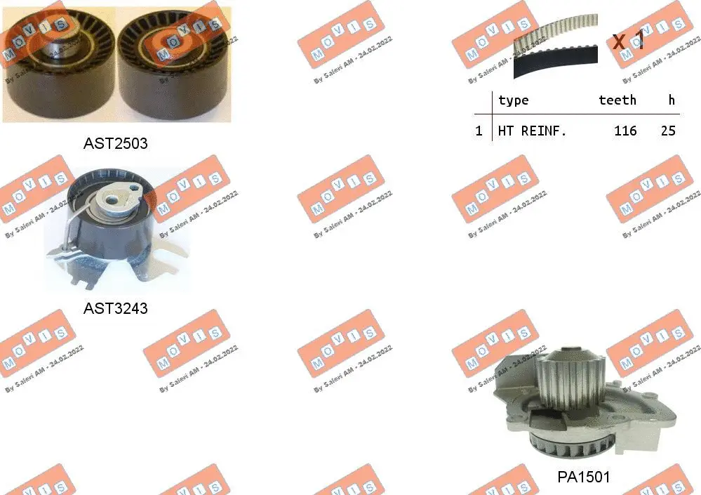 Water Pump & Timing Belt Kit (ASTK1157PA)
