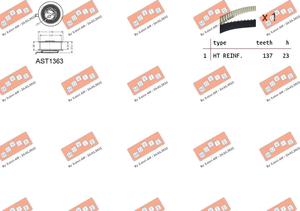 Timing Belt Kit