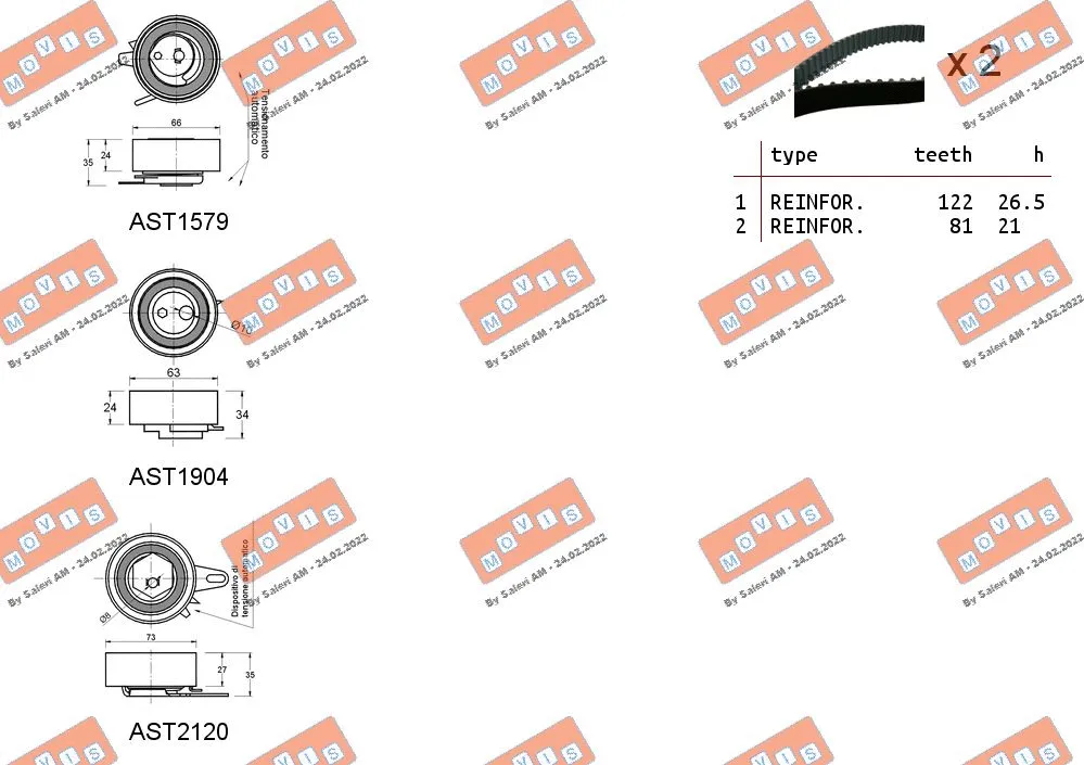 Timing Belt Kit