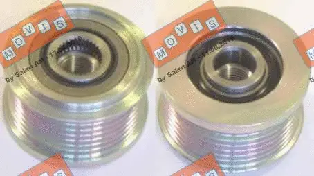 Alternator Freewheel Clutch (AST2962)