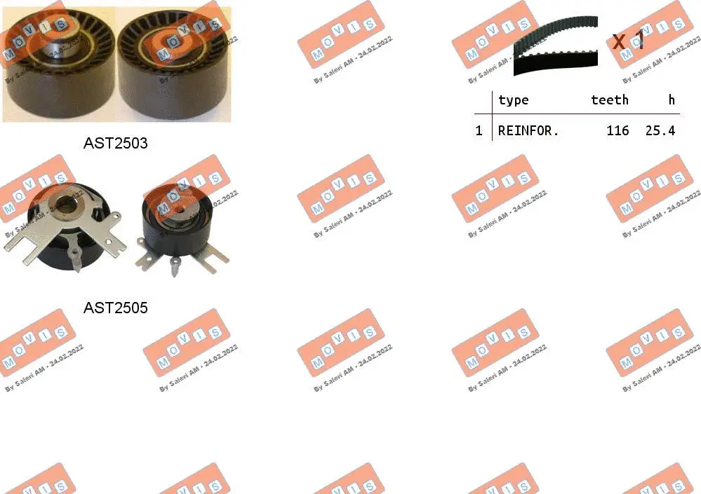 Timing Belt Kit (ASTK0928)