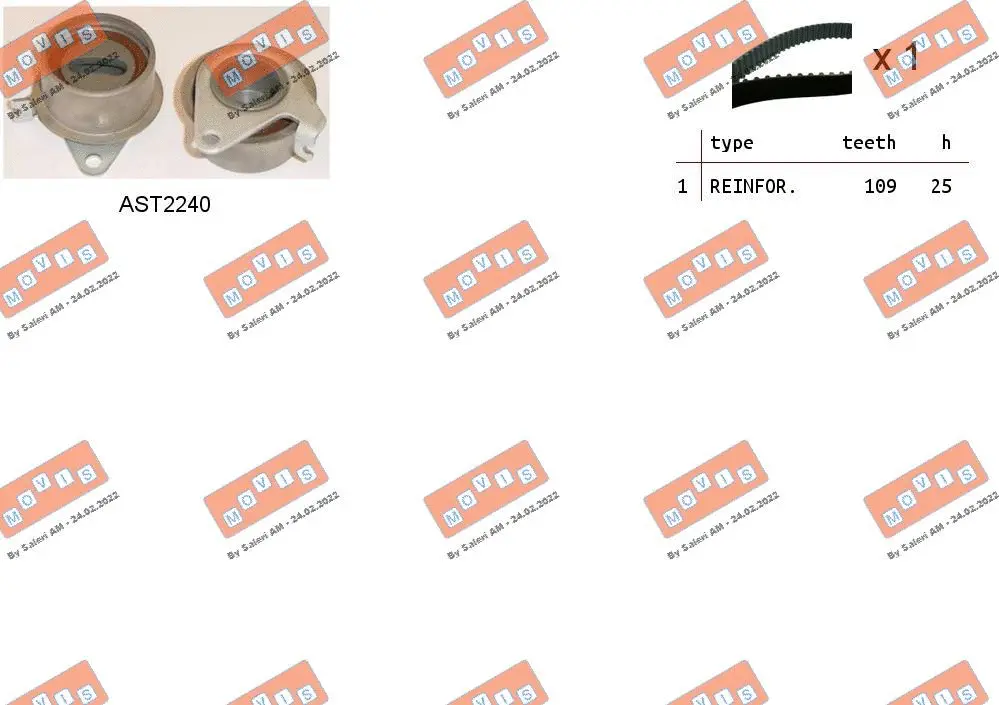 Timing Belt Kit (ASTK1131)