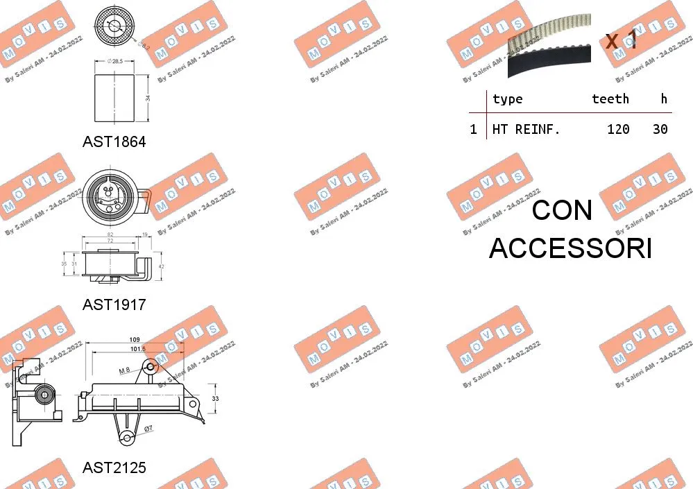 Timing Belt Kit