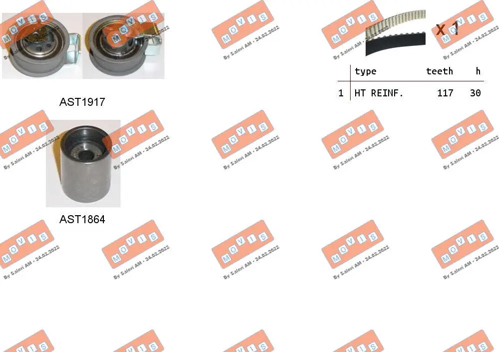 Timing Belt Kit (ASTK1132)