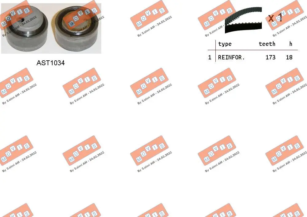 Timing Belt Kit (ASTK0887)