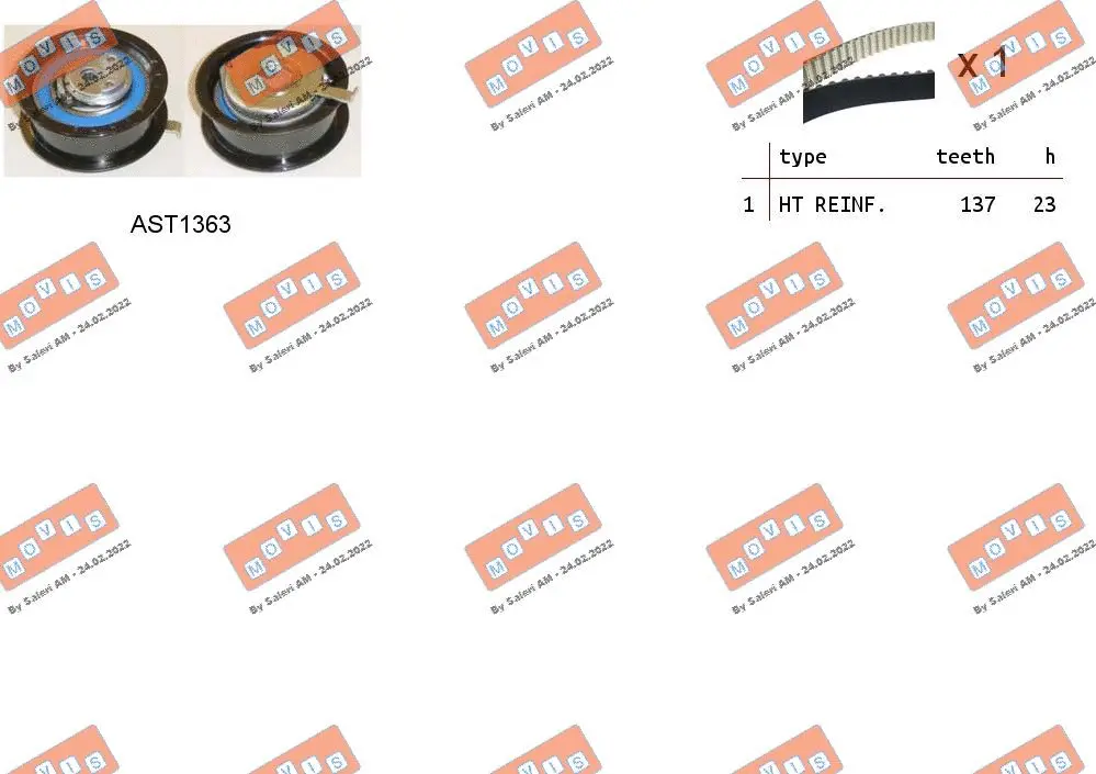 Timing Belt Kit (ASTK0918)