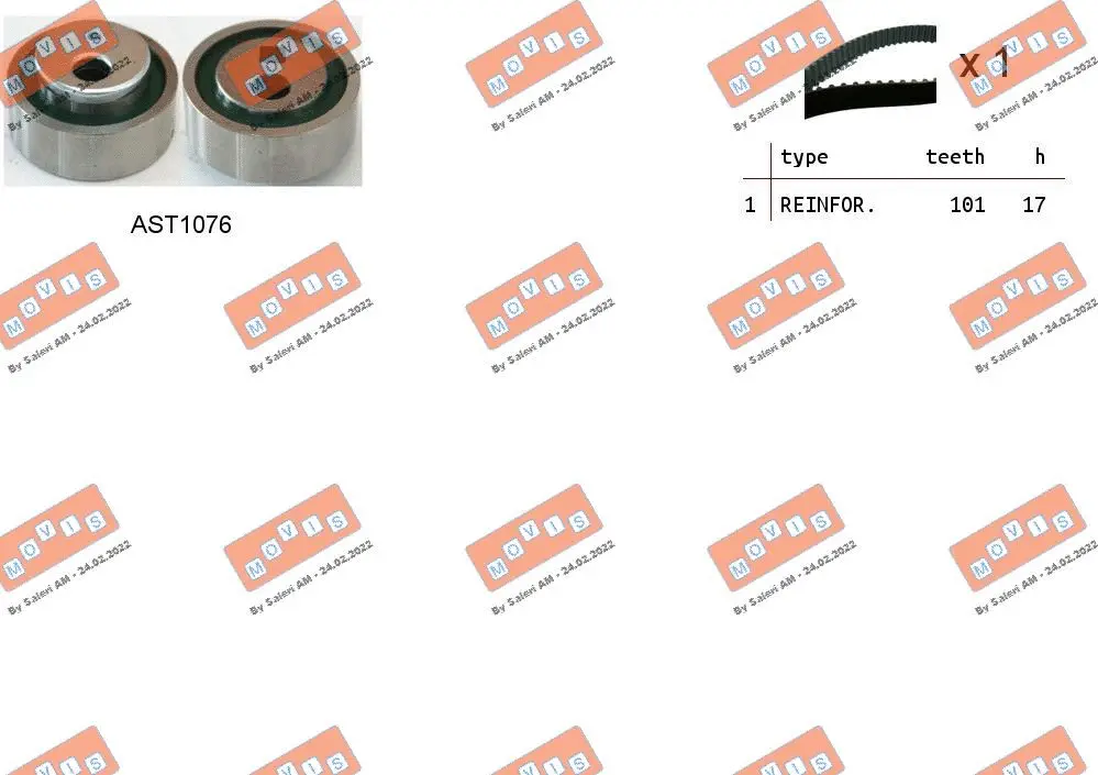 Timing Belt Kit (ASTK0866)