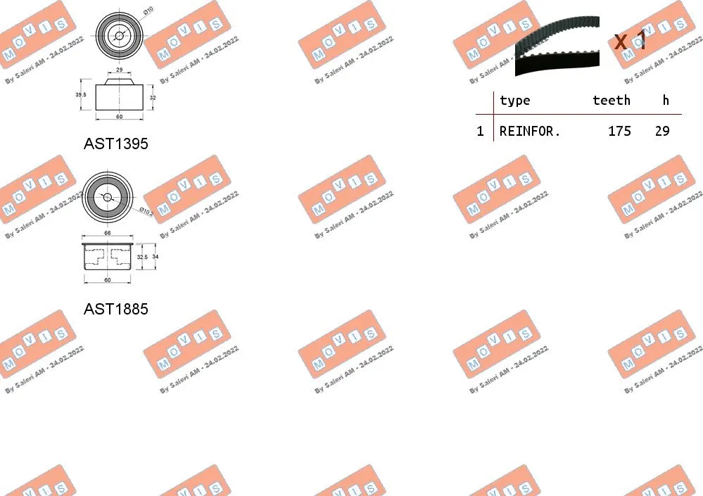 Timing Belt Kit