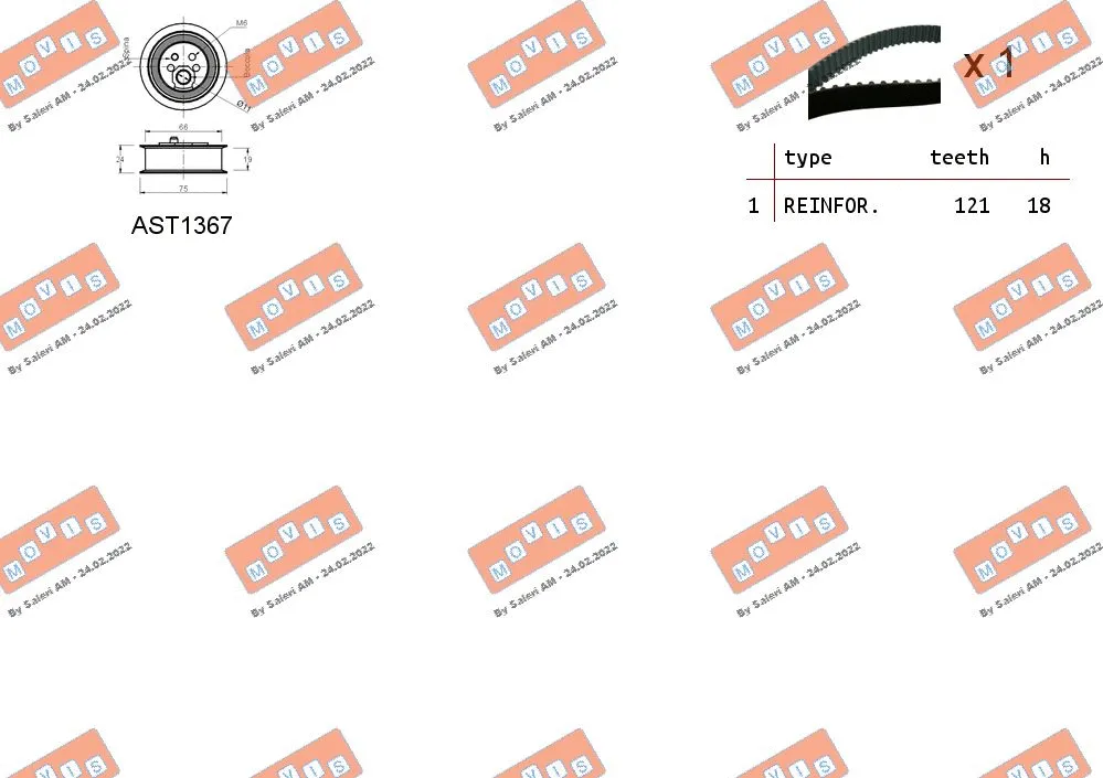 Timing Belt Kit