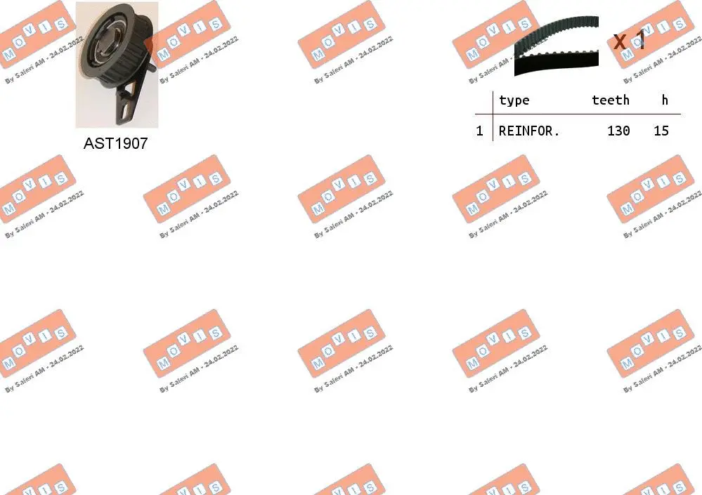 Timing Belt Kit (ASTK1099)